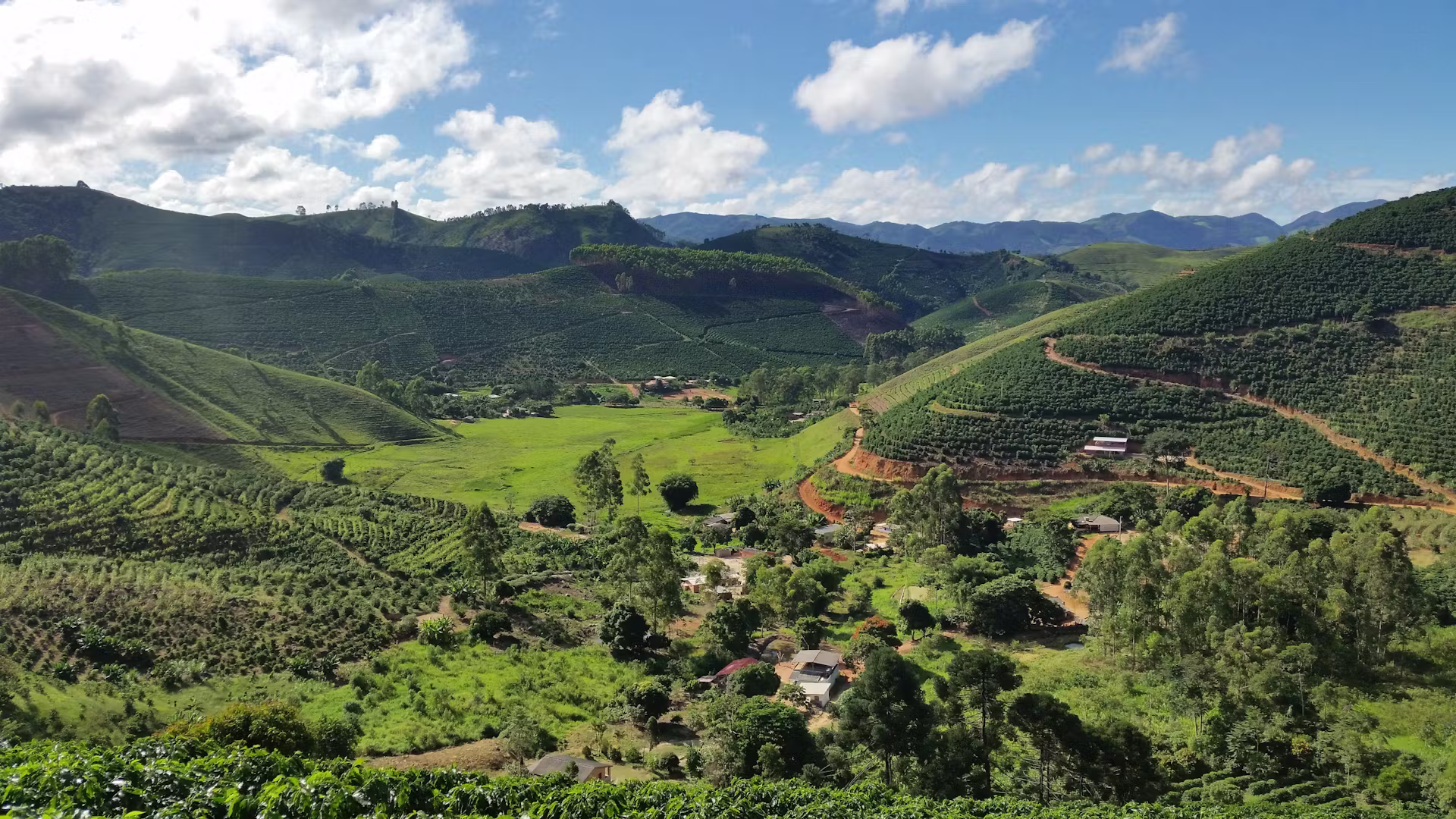 Green valley of coffee farms among mountains, Brasil